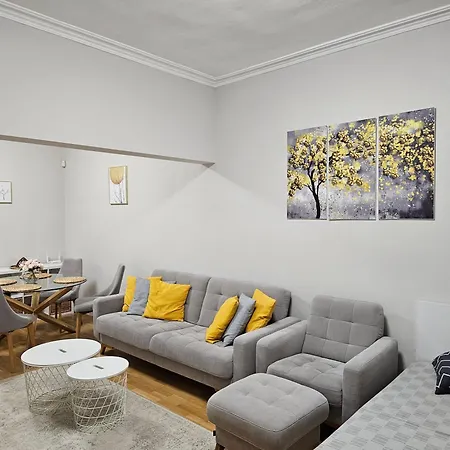 Spacious Aristocratic Apt. With A Colourful View Apartament